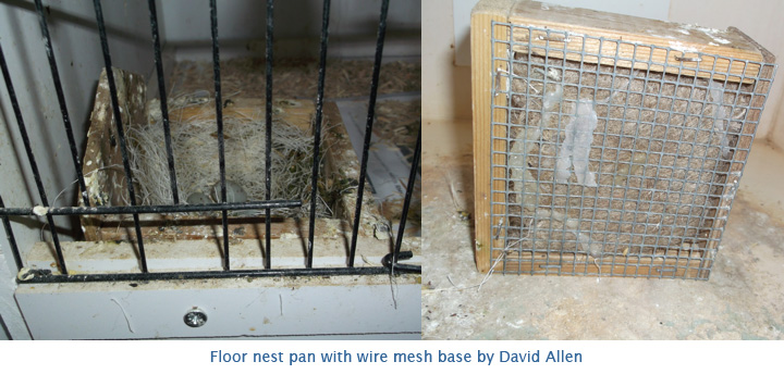 Floor nest pan- DAllen