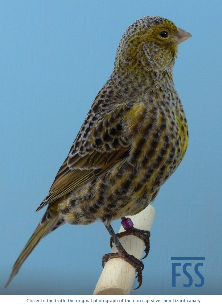 Original photo of NCSH-FSS