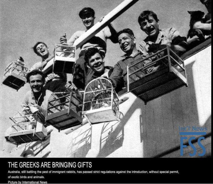 Greeks bearing gifts-FSS