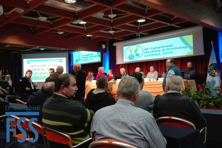Cesena 2018 technical meeting-FSS