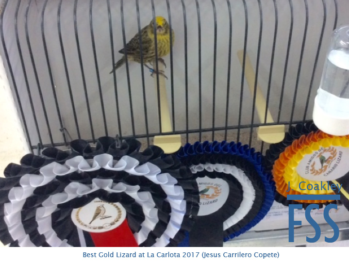 La Carlota 2017 Best Gold-FSS