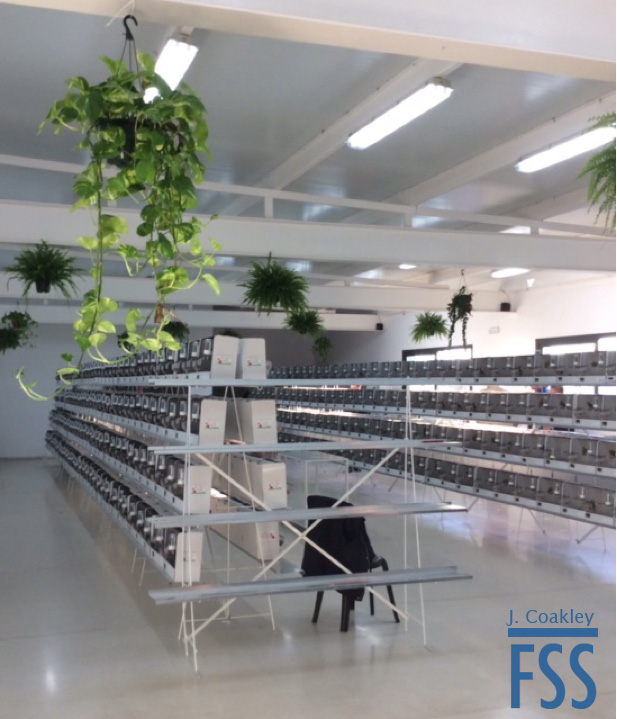 La Carlota 2017 interior 2-FSS