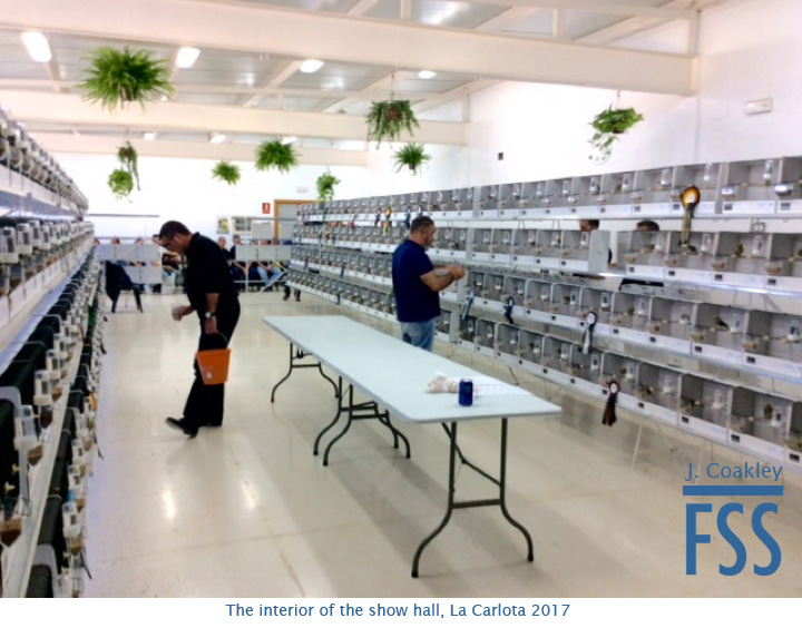 La Carlota 2017 interior view-FSS