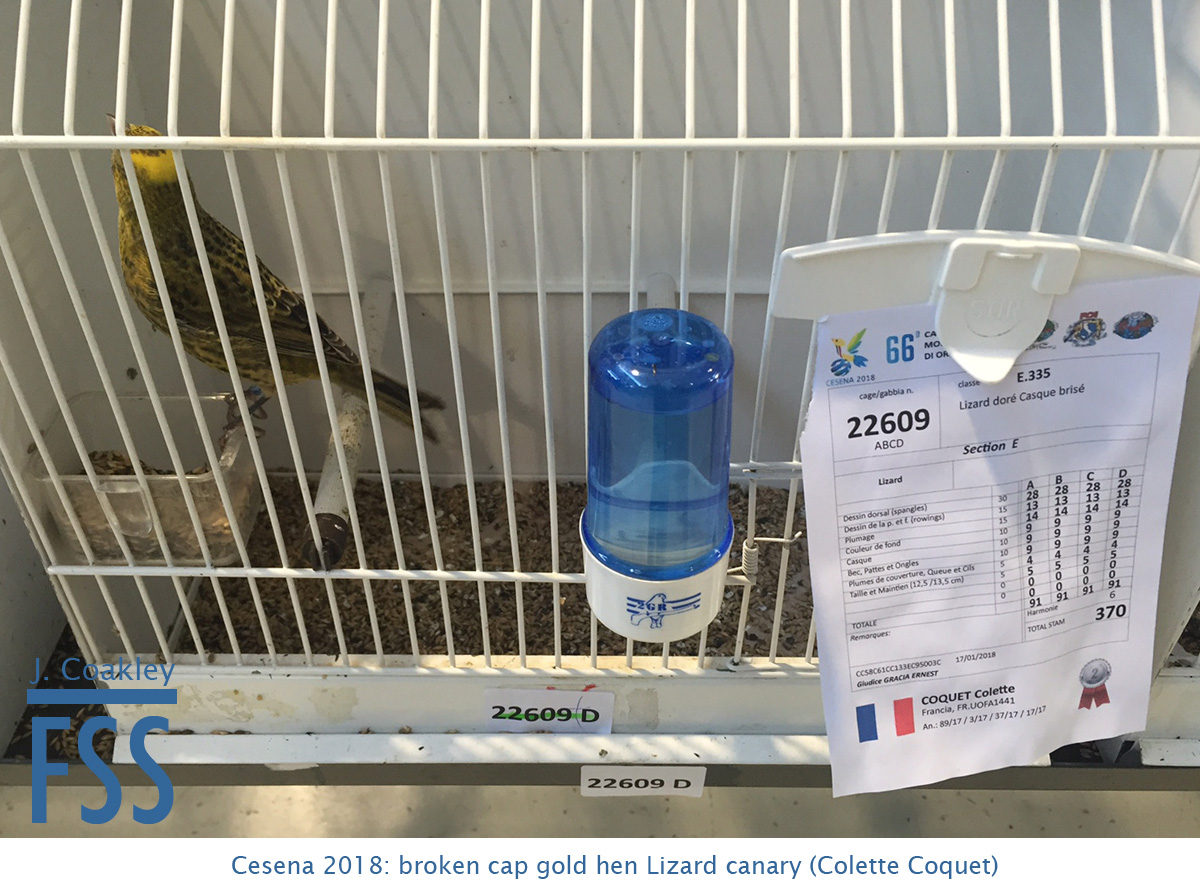 Cesena 2018 BCGH Colette Coquet-FSS