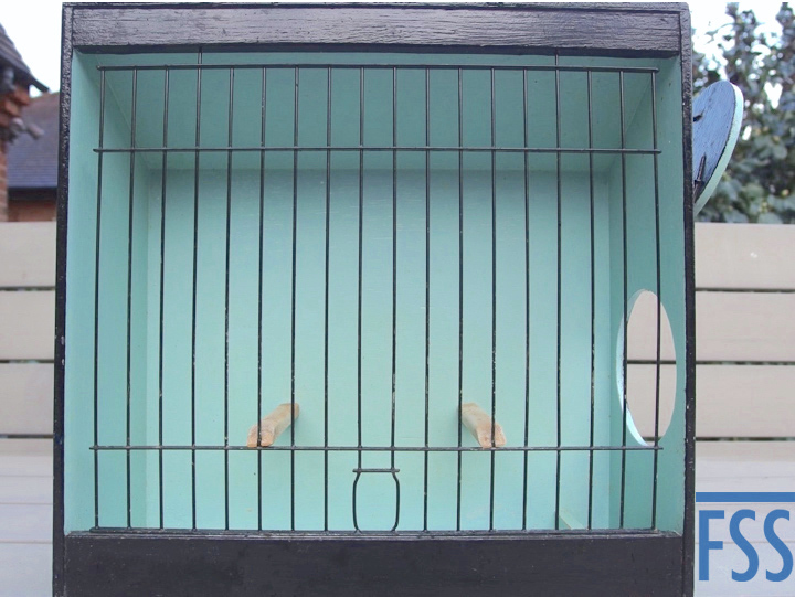 Lizard show cage in SumBlue-FSS