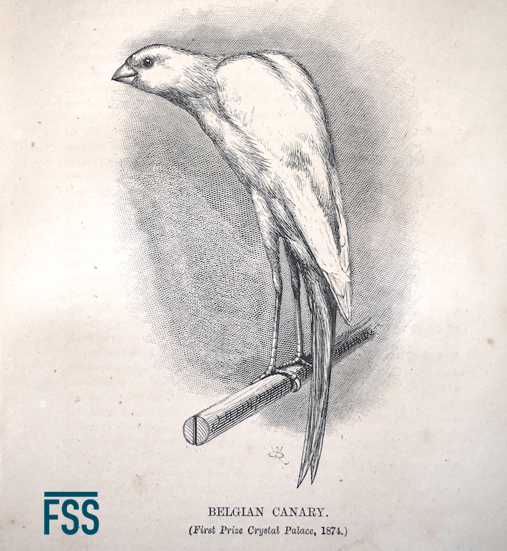 Wallace (1st Edn)-Belgian Crystal Palace 1874-FSS